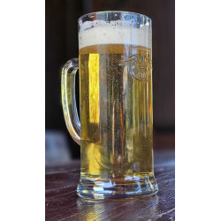 RB Leipzig Bierkrug - Relief - Bierseidel 0,5 l Bierglas | Glas | RBL