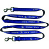 TSG 1899 Hoffenheim Hundeleine | Hunde Leine | 160–170 cm