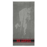 RB Leipzig Duschtuch - Dynamic Bull - Grau | Badetuch | 70 x 140 cm | Strandtuch | RBL