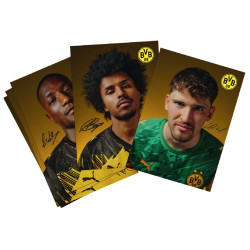 Borussia Dortmund Autogrammkarten Team 2025/26 | signiert | Sammelkarten | Autographs card | BVB 09