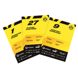 Borussia Dortmund Autogrammkarten Team 2025/26 | signiert | Sammelkarten | Autographs card | BVB 09