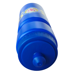 Eintracht Braunschweig Sporttrinkflasche  - 1895 - Trinkflasche | 0,75 l | Flasche | BTSV