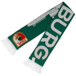 FC Augsburg Schal - Skyline - grün | Strickschal | Fanschal | FCA