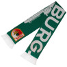 FC Augsburg Schal - Skyline - grün | Strickschal | Fanschal | FCA