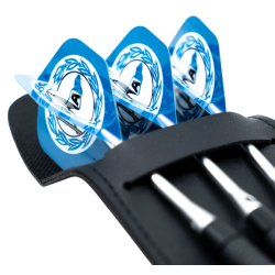 Arminia Bielefeld Dartpfeile mit Etui und Flights | Steeldarts | Dart Pfeile | DSC