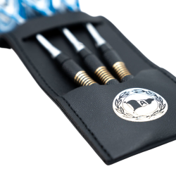 Arminia Bielefeld Dartpfeile mit Etui und Flights | Steeldarts | Dart Pfeile | DSC