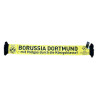 Borussia Dortmund CL-Fotoschal - Finale 2013 -  Schal | Sammlerstück | BVB 09