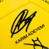 Borussia Dortmund Unterschriftenball 2025/26 | Ball | Signature | Gr. 5 | Fußball | BVB 09