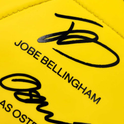 Borussia Dortmund Unterschriftenball 2025/26 | Ball | Signature | Gr. 5 | Fußball | BVB 09