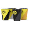Borussia Dortmund Schnapsglas 4er-Set | schwarzgelb | Glas | BVB 09