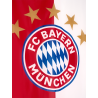 FC Bayern München Bannerfahne - Logo - 300 x 120 cm | XXL Fahne | Hochformat FCB