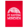FC Bayern München Bettwäsche Set Meisterschale rot 3-teilig (Kissen- und Deckenbezug + Spannebettlaken) FCB
