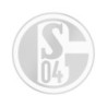 FC Schalke 04 Autoaufkleber- transparent Silber - Logo Aufkleber Sticker S04