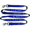 TSG 1899 Hoffenheim Hundeleine | Hunde Leine | 160–170 cm
