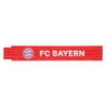 FC Bayern München Zollstock | Schmiege | Gliedermaßstab | FCB