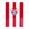 FC Bayern München Hausaufgabenheft rot-weiß gestreift Logo Heft A5 Schulheft FCB