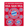 FC Bayern München Aufkleberkarte - Logo - 9er Set Aufkleber Sticker FCB