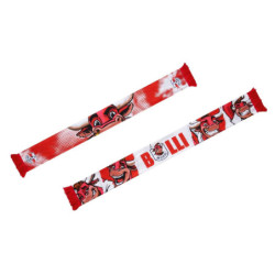RB Leipzig Printschal - Bulli - Fanschal Schal scarf RBL