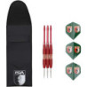 FC Augsburg Steeldarts Dartpfeile mit Etui und Flights Dart Pfeile