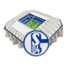 FC Schalke 04 Pin - Stadion - Button Anstecker S04