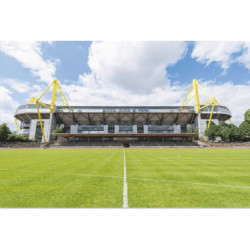 Borussia Dortmund Poster - Stadion - 61 x 91.5 cm BVB 09