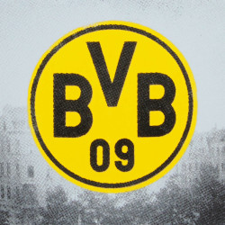 Borussia Dortmund Tasse - Emaille - Kaffeetasse , Mug BVB 09
