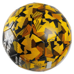 Borussia Dortmund Fußball - Spirit - Größe 5 Ball BVB 09