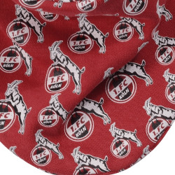 1. FC Köln Baby Geschenkbox Rot - Body, Söckchen, Halstuch | Geschenkset - Gr. 50/56 bis 74/80