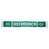 SV Werder Bremen Schal - Erfolge - grün/weiß Fanschal scarf