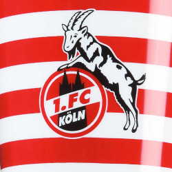 1. FC Köln Zahnpflege-Set (2 Zahnbürsten + Zahnputzbecher)