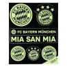 FC Bayern München Aufkleberbogen nachtleuchtend 7er Set, Aufkleber, Sticker FCB