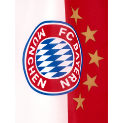 FC Bayern München Fahne - 5 Sterne Logo - 150 x 100 cm | Flagge | FCB
