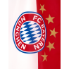FC Bayern München Fahne - 5 Sterne Logo - 150 x 100 cm | Flagge | FCB
