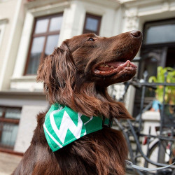 SV Werder Bremen Hundehalstuch | Halstuch für Hunde | SVW