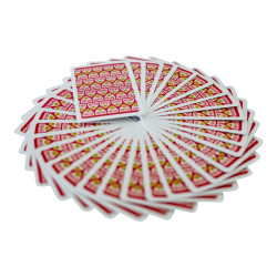 VfB Stuttgart Skat-Spiel Skat Spielkarten Kartenspiel Rückseite Logo