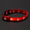 1. FC Köln LED Hundehalsband - Größe M - Halsband für Hunde 40-50 cm