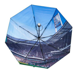 SV Werder Bremen Taschenschirm - Raute - grün Regenschirm Knirps