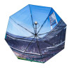 SV Werder Bremen Taschenschirm - Raute - grün Regenschirm Knirps