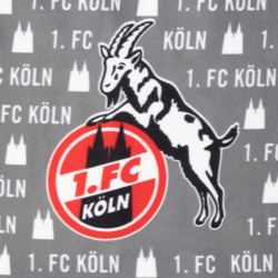 1. FC Köln Picknickdecke grau Decke Stranddecke