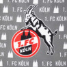 1. FC Köln Picknickdecke grau Decke Stranddecke