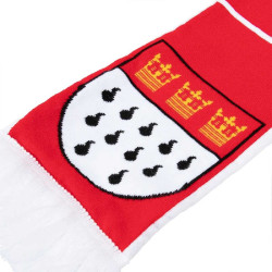 1. FC Köln Schal - Skyline - Fanschal Premiumschal