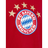 FC Bayern München T-Shirt - 5 Sterne - Logo rot FCB Shirt div. Größen