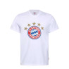 FC Bayern München T-Shirt - 5 Sterne - Logo weiß FCB Shirt div. Größen